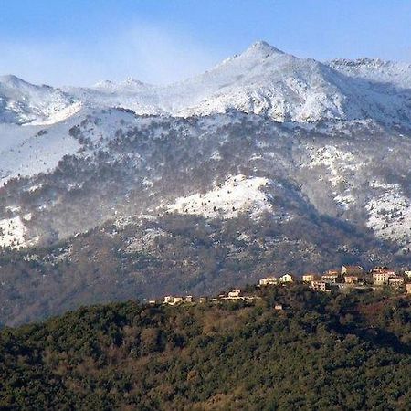 Casa Bonino Hotel Prunelli-di-Fiumorbo Kültér fotó