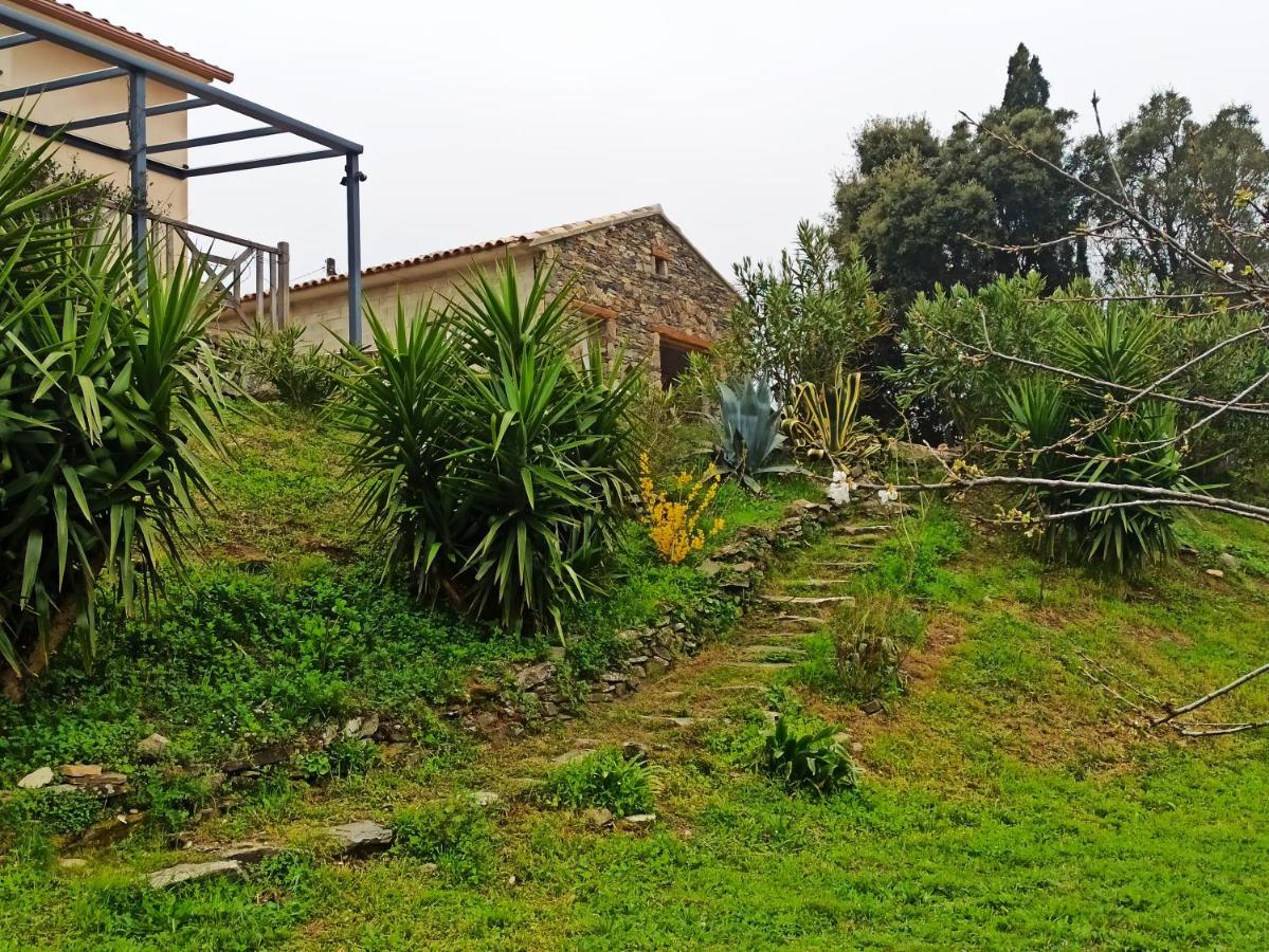 Casa Bonino Hotel Prunelli-di-Fiumorbo Kültér fotó