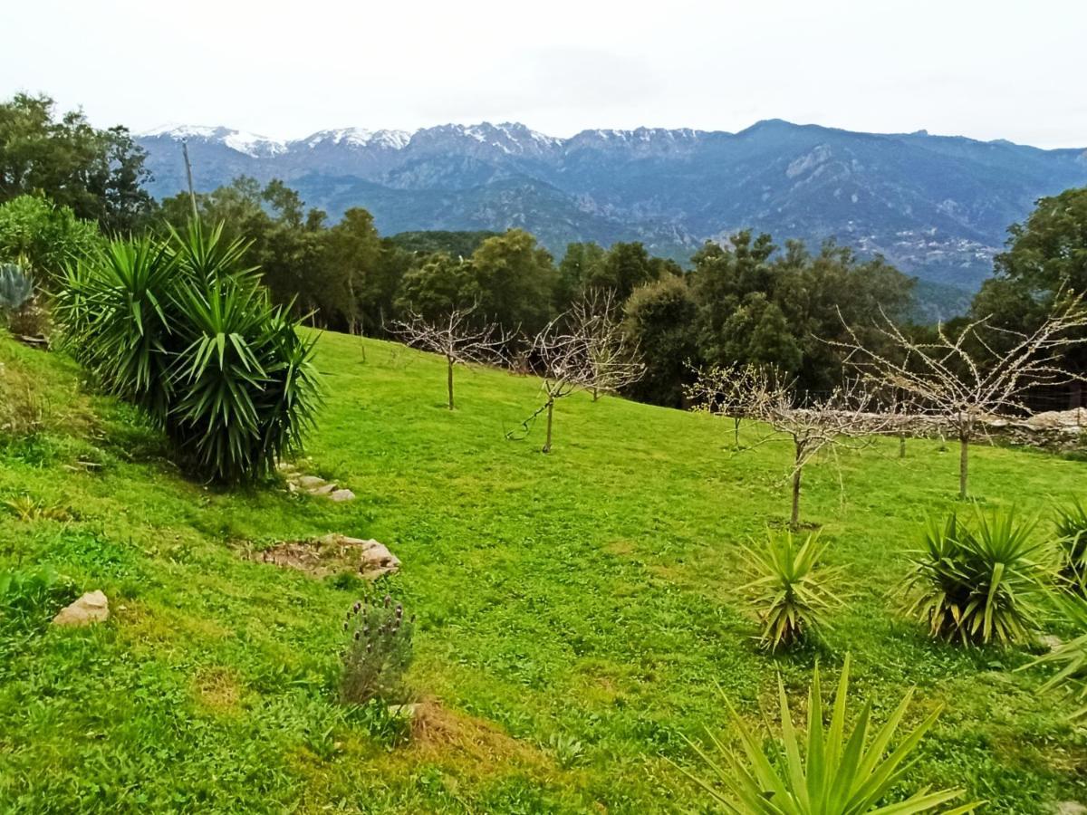 Casa Bonino Hotel Prunelli-di-Fiumorbo Kültér fotó